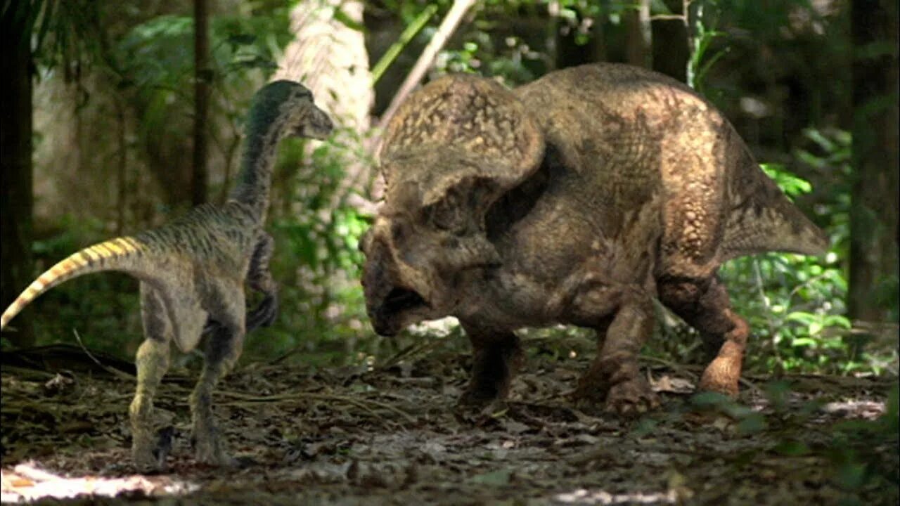 Прогулки с динозаврами 2002. Велоцираптор прогулки с динозаврами bbc. прогулки с динозаврами ббс. прогулки с динозаврами протоцератопс. велоцераптор прогулки с динозаврами.
