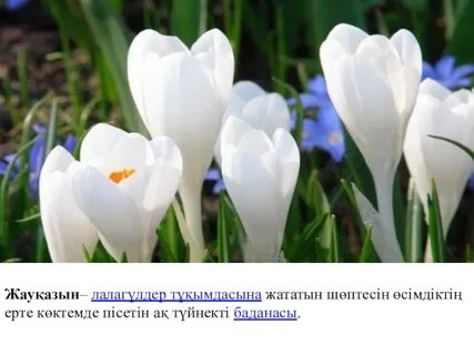 Брэнди махаббатымен онлайн порно