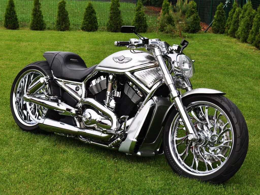 Мотоциклы harley-davidson v-rod. Харлей дэвидсон v-rod muscle. Harley davidson vrod. Харлей дэвидсон v rod custom. Harley davidson v rod muscle.