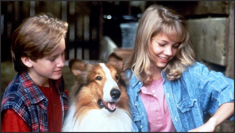 Лесси срослась с диваном. Lassie 1994. лесси фильм 1994. лэсси 1994 сериал. фильм лесси 1974.