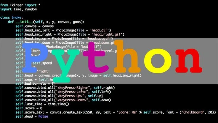 Язык программирования python информация. Питон язык программирования. программирование на python. python фото языка программирования. питон язык.