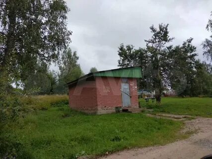 Авито думиничи