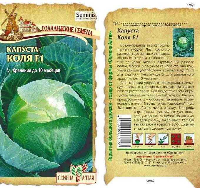 Коля капуста описание. Капуста белокочанная Коля f1. Сорт капусты белокочанной: Коля f1 Голландия. Капуста fresco f1. Капуста сорт Коля.