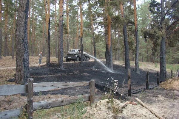 ООО Лебяжье лес Егорьевский район. Село Новоегорьевское Алтайский край. Новоегорьевское Егорьевского района. Лебяжье Алтайский край Егорьевский район. Погода в с новоегорьевское егорьевского алтайского края