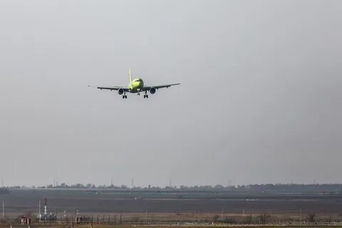 Посадка в волгограде