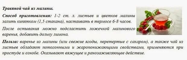 Отвар из малиновых листьев. Малину при простуде. Рецепт отвара из малины. Листья малины при температуре. При какой температуре можно малину