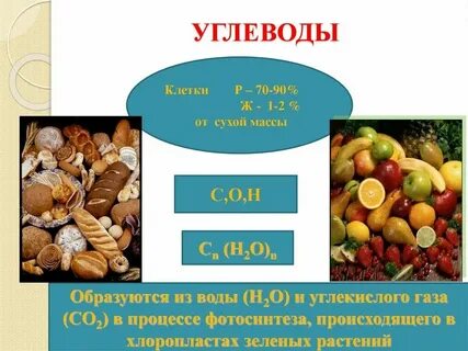 Углеводы 6 класс биология определение