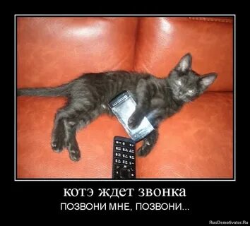 Позвони я жду песня