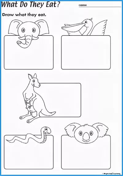 Do they like animals. Animals Worksheets. Animals Worksheets for Kids Kindergarten. Animals eat Worksheets for Kids. Worksheets 2 класс животные.