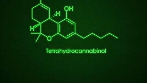 Tgc