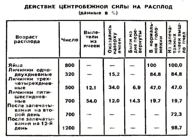 Через сколько выходит матка после запечатывания маточника. Печатный расплод пчел сроки. двухдневный расплод пчел. срок запечатывания расплода. пчела стадии развития расплода.