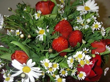 Земляника ромашка