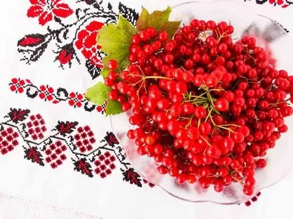Украинский калина