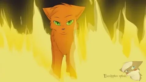 Кот опенинг