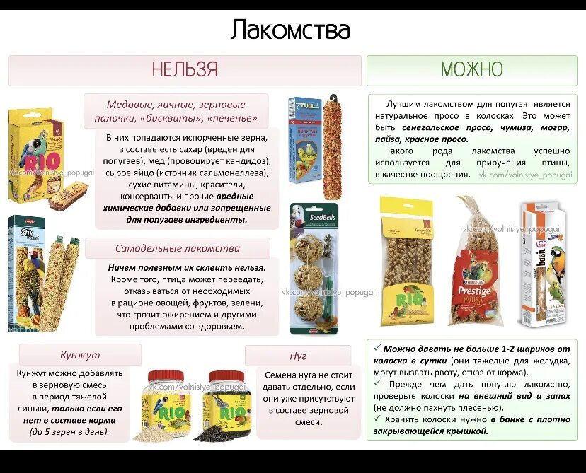 Какие овощи можно давать волнистым попугаем. Разрешенные продукты для попугаев. Чем можно кормить волнистых попугаев. Запрещенные продукты для попугаев. Чем кормить попугаев кроме корма