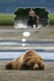 Мечтающий медведь