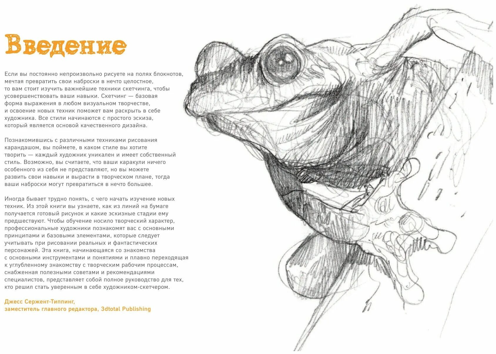 сколько стоит книга скетчинг техника персонажи сюжеты. книги для скетчинга анималистика для начинающих. сколько стоит книга скетчинг техника персонажи сюжеты. лучшие книги фэнтези. скетчинг техники персонажи сюжеты pdf.