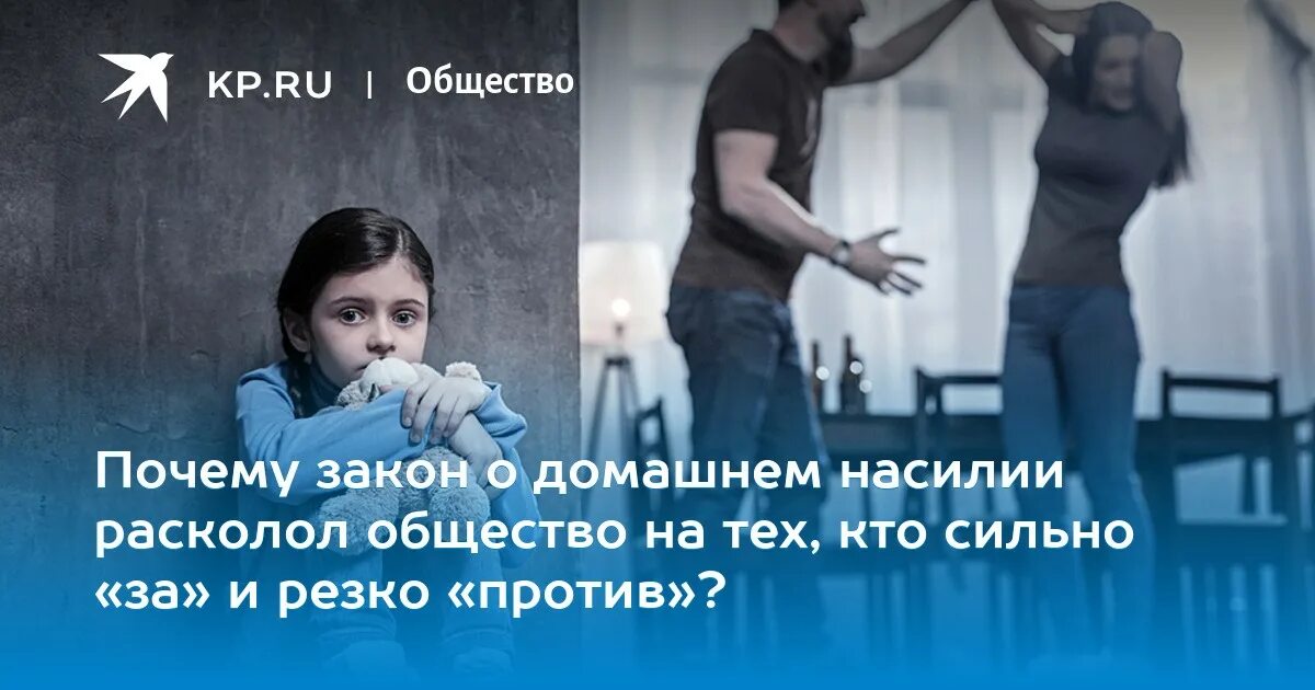 Законопроект о домашнем насилии. Закон о домашнем насилии в России. Митинг за закон о домашнем насилии. Закон о домашнем насилии текст в других странах.