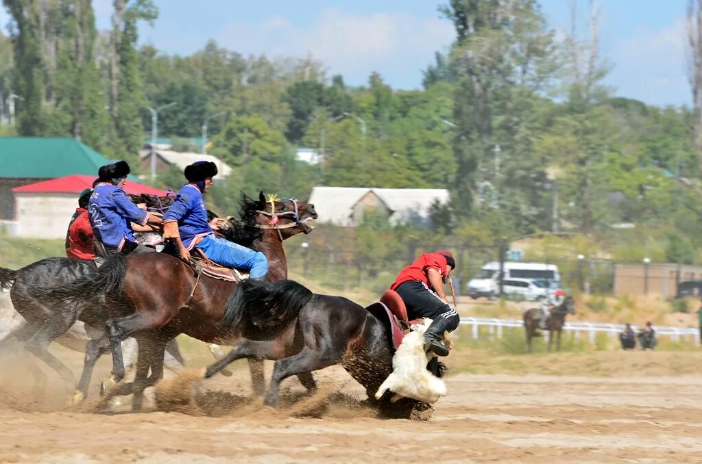 Көк ала. Ферганская долина природа узбекистан. Көк ала. Жайляу алматинская область. Казахские национальные виды спорта.