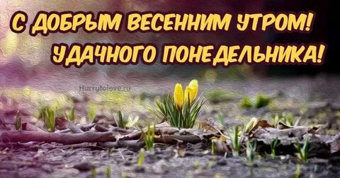 Доброго весеннего понедельника