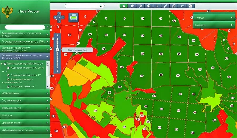 Лесная кадастровая карта
