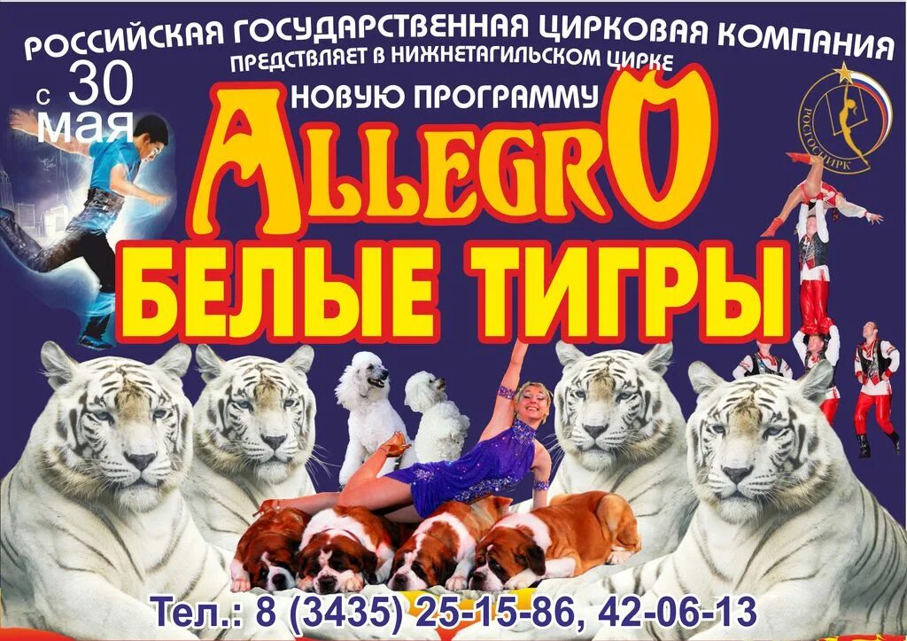 цирковая афиша. программа цирка нижний тагил. афиша цирка. афиша цирка. цирк нижний тагил афиша.