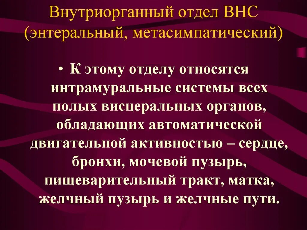 Метасимпатической нервной системы. Метасимпатический отдел вегетативной нервной системы. Метасимпатический отдел вегетативной. Характеристика метасимпатической нервной системы. Метасимпатический отдел автономной нервной системы.