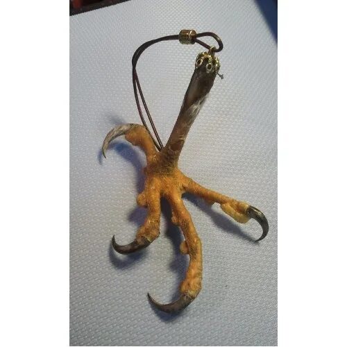 Когти коршуна