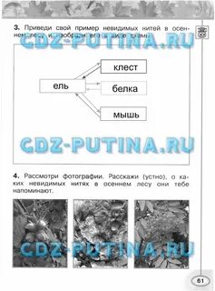 Невидимые нити тест 2 класс окружающий мир