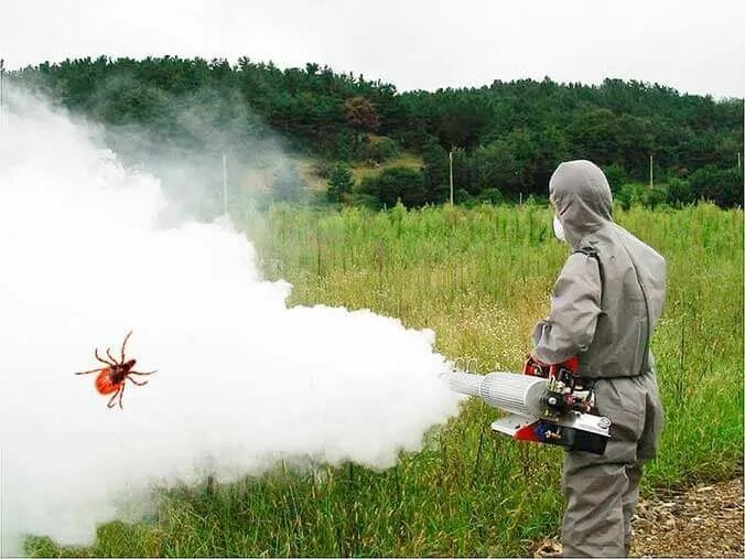 Дезинсекция горячий туман. Генератором холодного тумана дезинсекция. Дезинсектор холодный туман. Обработка горячим туманом. Дезинсекция клопов туманом.