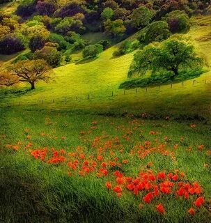 Beautiful country