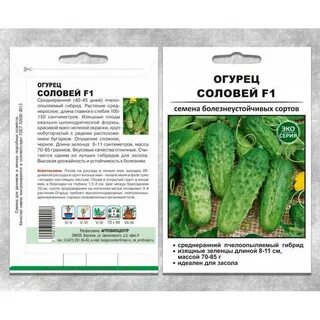 Кустовые огурцы сорта самоопыляемые