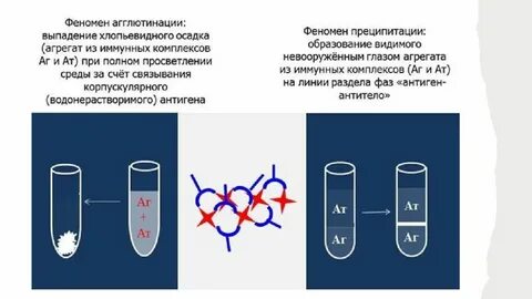Лизис антигены