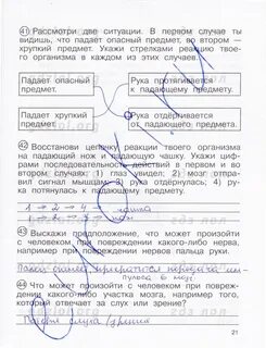 Вместе с тем рождается предположение что проникнуть
