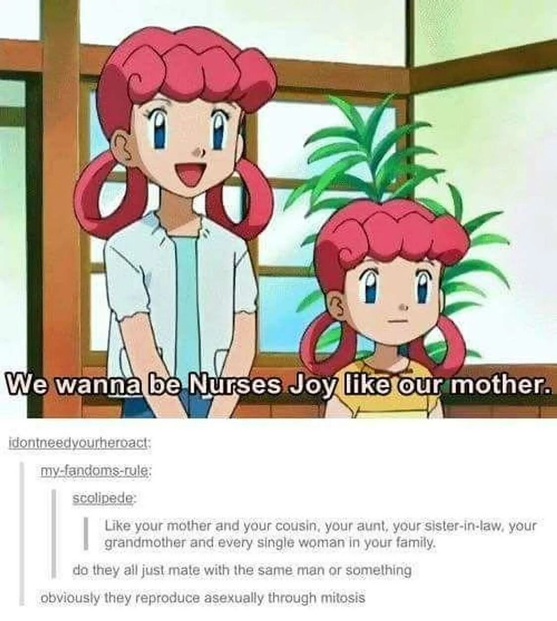 Мемы про покемонов. Pokemon nurse Joy. Trainer nurse Joy карточки. Покемон Мем с девушкой.