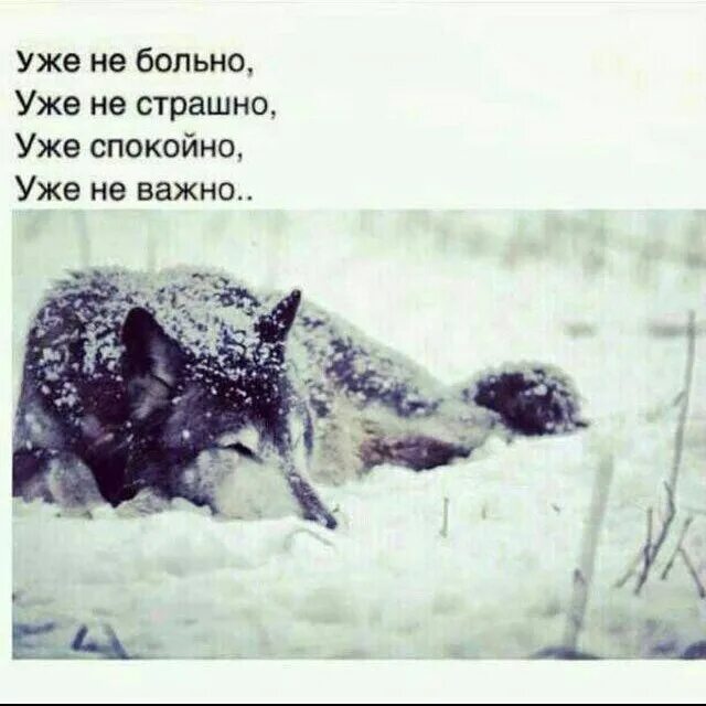 Теперь не больно песня. Уже не больно уже не страшно. уже не больно уже не важно. больно не больно страшно не страшно. уже не страшно уже спокойно уже не важно.