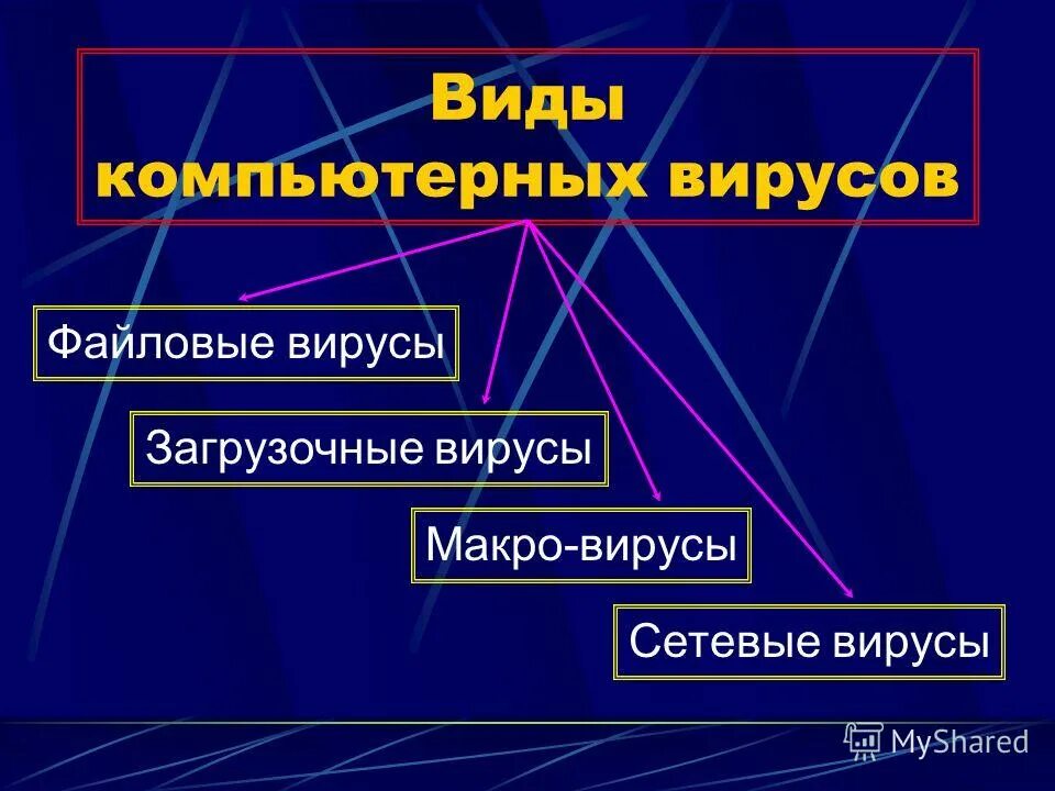 Виды компьютерных вирусов проект Презентация к урокам информатики "Компьютерные вирусы"