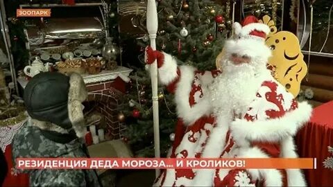 Дед мороз ростов на дону