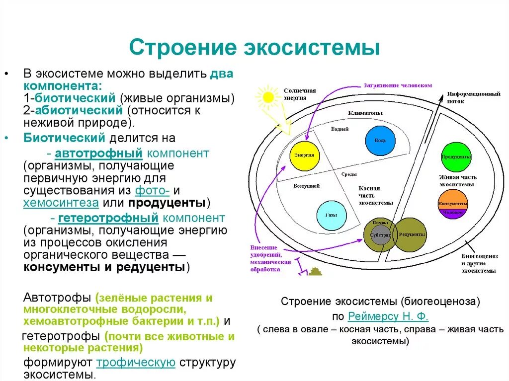 Какие 2 типа различают в живой природе