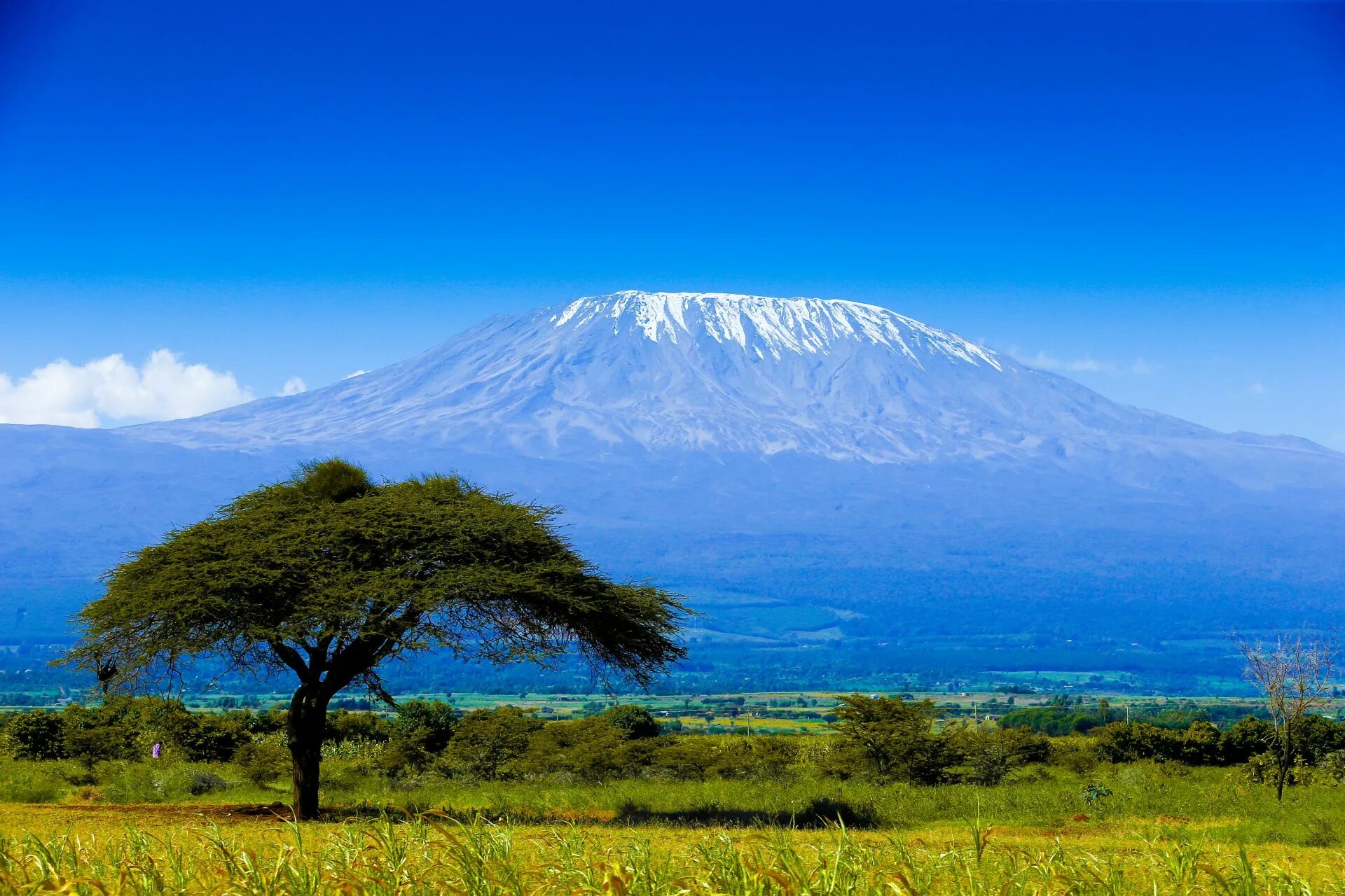 Африка самый высокий. Килиманджаро Танзания. Гора в Африке Килиманджаро. Кения гора Килиманджаро. Танзания вулкан Килиманджаро.