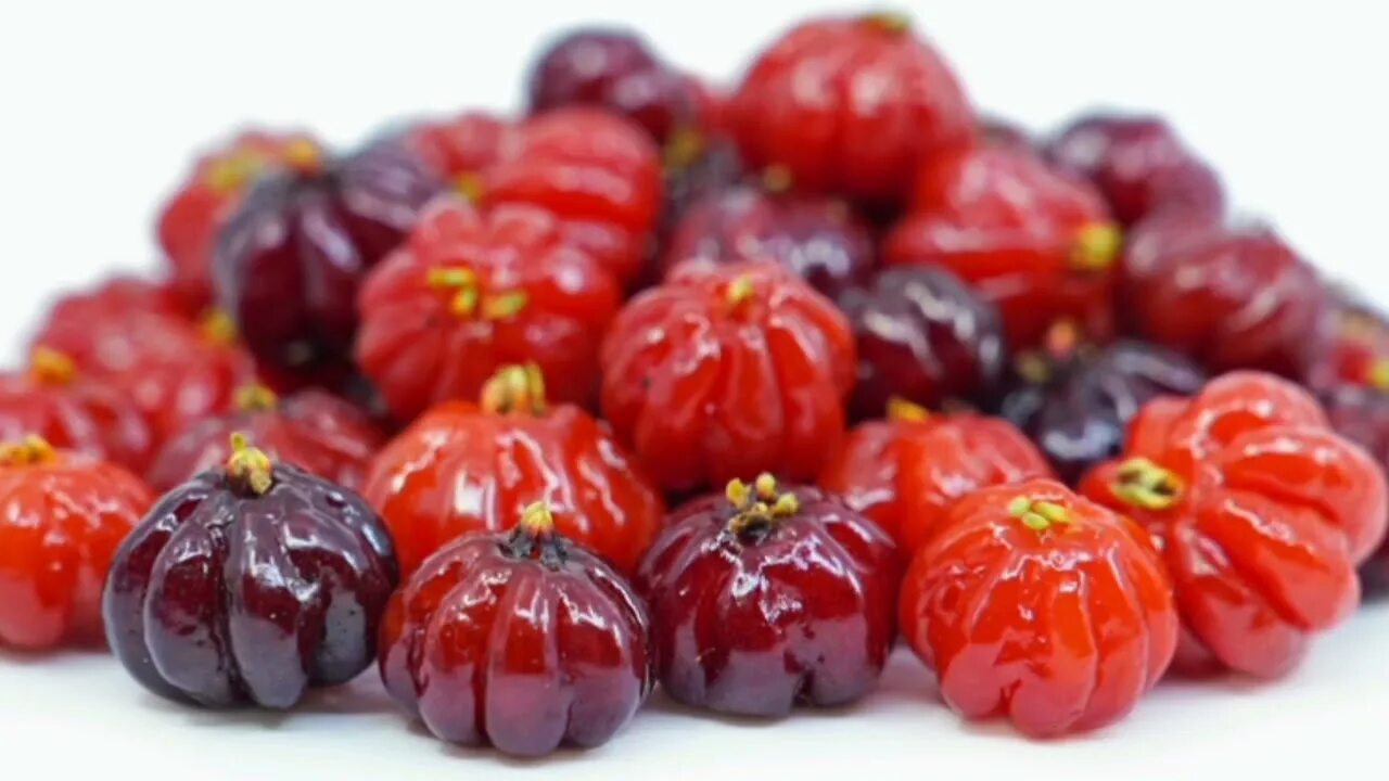 Питанга - бразильская вишня.. Питанга фрукт. Surinam Cherry. Питанга игра.