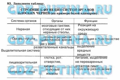 Заполните таблицу системы органов белой планарии