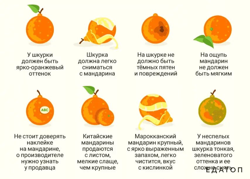 Можно ли цитрусовые при температуре