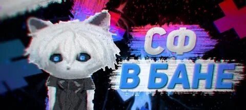 Zxc cat