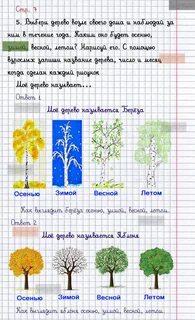 Стелются над землей осенние окружающий мир