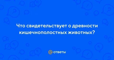 Что свидетельствует о ее