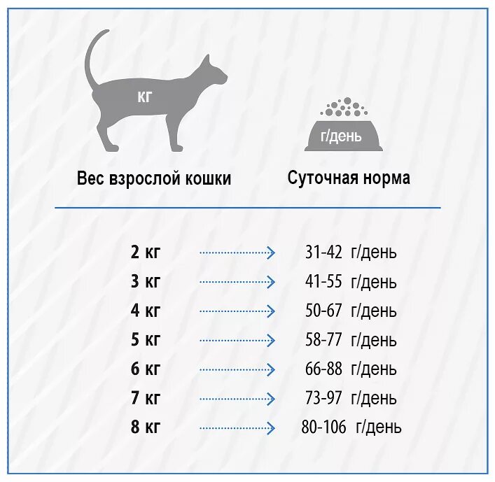 Нормальный вес кота в 1 год. Нормальный вес кота в 3 года. Кошка Возраст и нормальный вес. Нормальный вес для кошки в год.