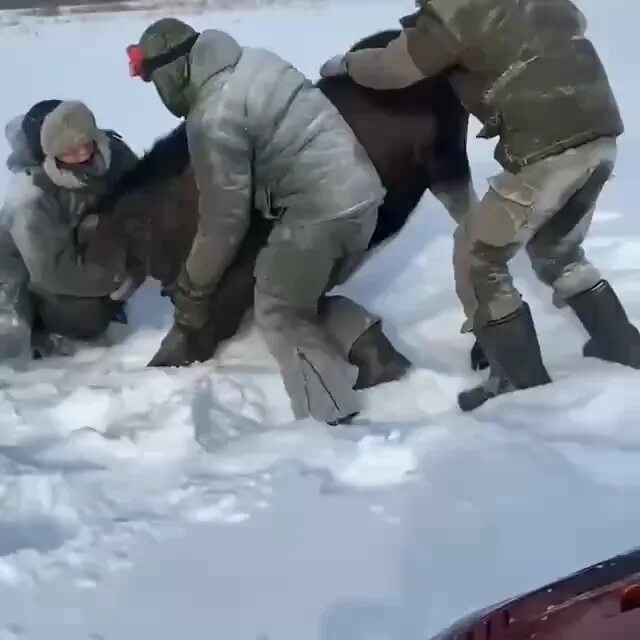 Худший браконьер песня. Браконьерство на снегоходе.