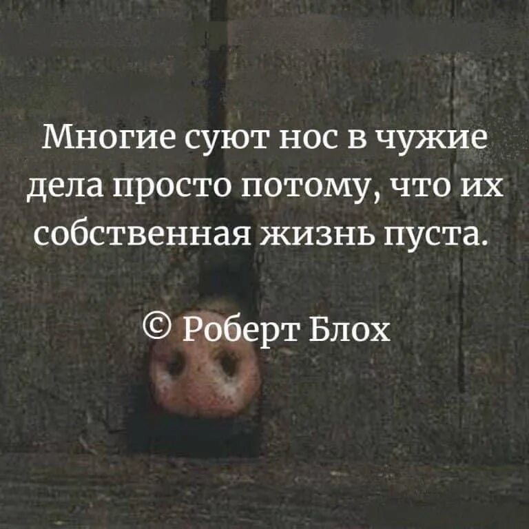 Не суй свой нос в чужую жизнь. Сует свой нос в чужие дела. Статус про не суй свой нос. Статусы про людей которые лезут в чужую. Сующим везде свой нос