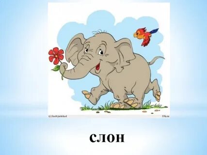 Наш слон